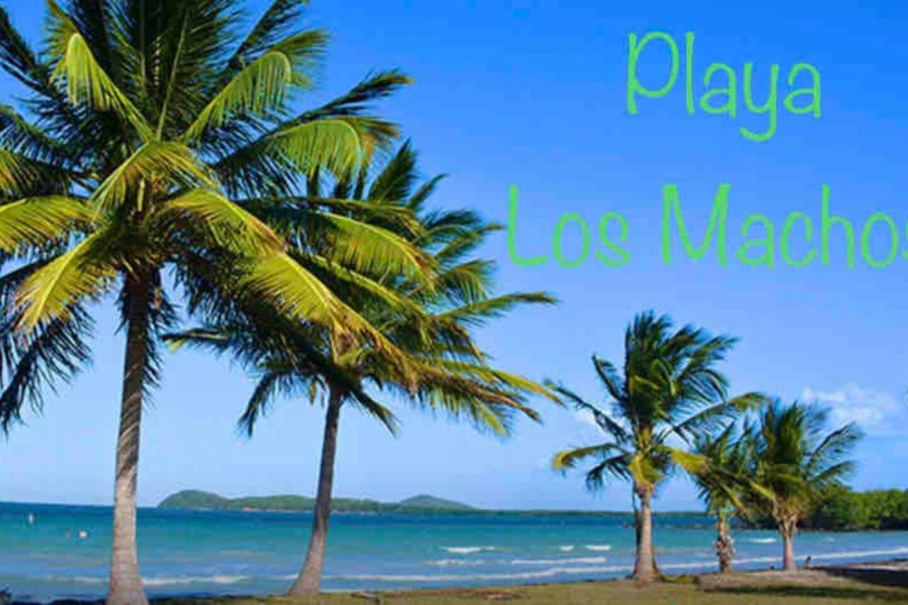 Ceiba Ocean & Mountains View, Marina, Ferry, Vista Mar, Costa Esmeralda מראה חיצוני תמונה
