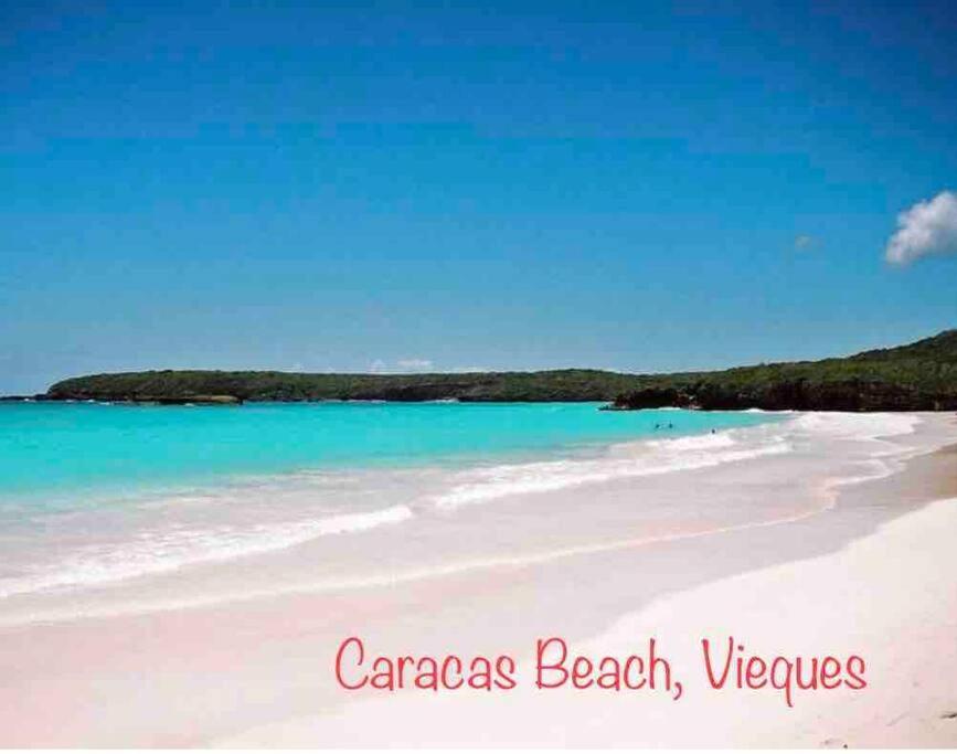 Ceiba Ocean & Mountains View, Marina, Ferry, Vista Mar, Costa Esmeralda מראה חיצוני תמונה