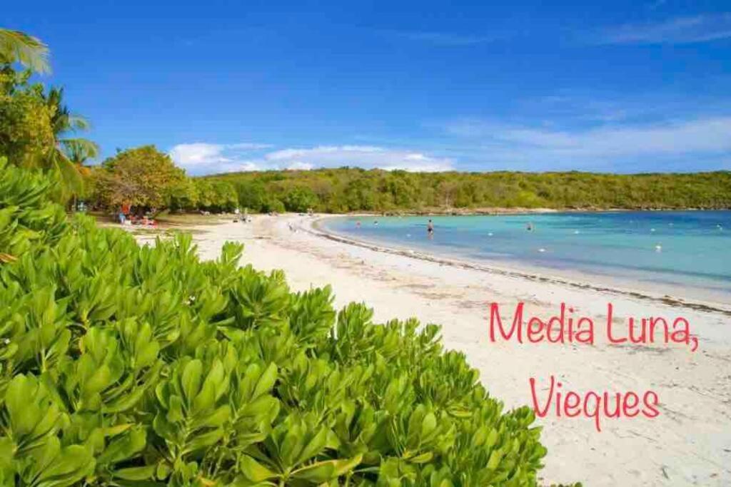 Ceiba Ocean & Mountains View, Marina, Ferry, Vista Mar, Costa Esmeralda מראה חיצוני תמונה